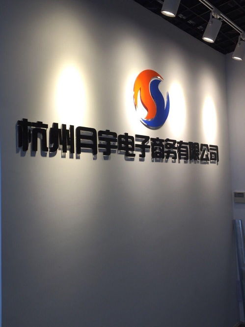 杭州月宇電子商務有限公司 電商浪潮中的創(chuàng)新實踐與未來發(fā)展